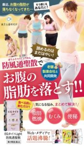 EGタイトLight