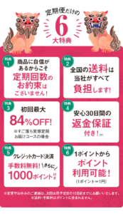 ネオちゅらびはだ すご落ち実感コース 6大特典