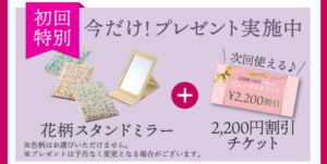 ライスビギン エイジングケアセット 定期コース 今だけプレゼント